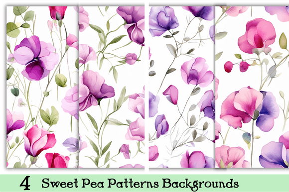 Sweet Pea Floral Patterns Backgrounds